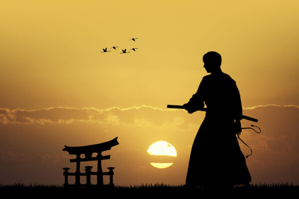 David Nips — Bushijutsu, instructors in Bell Block